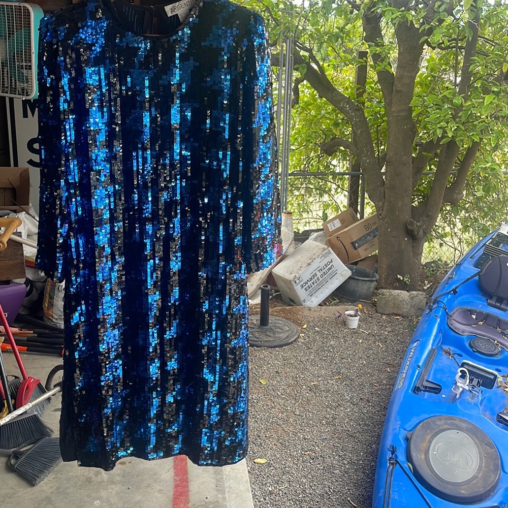 Blue sequence dress